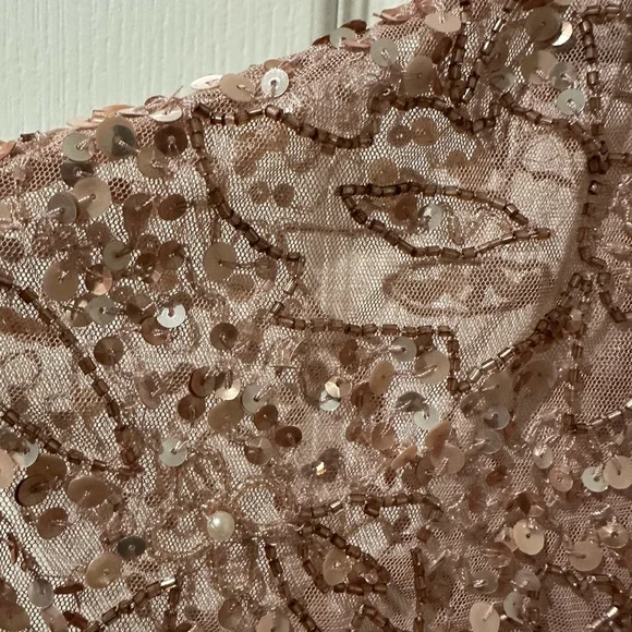 Adrianna Papell Candied Ginger Beaded Mesh Blouson Dress NWT - Picture 12 of 16